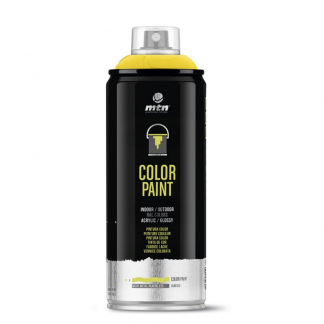 Pro Color Paint-30